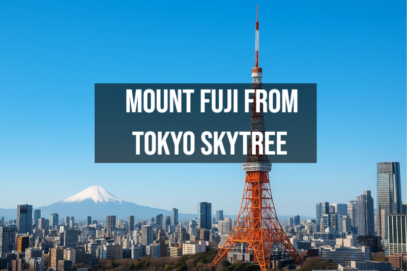 Mount Fuji view from Tokyo Skytree observation deck - 634m tower with panoramic vistas Tokyo Japan